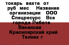 токарь. вахта. от 50 000 руб./мес. › Название организации ­ ООО Спецресурс - Все города Работа » Вакансии   . Красноярский край,Талнах г.